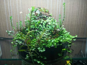 158.           Green Glass