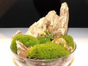 196. A tál átmérője :15 cm