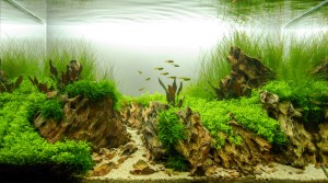 140 . I. helyezett Danicska Tamás