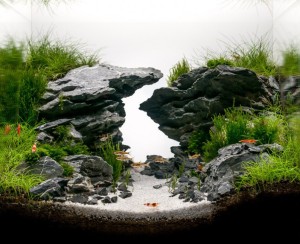 19. III. helyezett  Nincsics Lajos