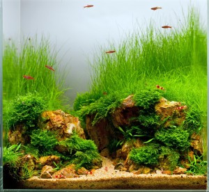 01. I. helyezett Ádám Attila