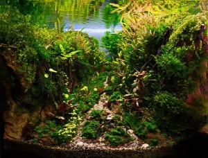 189. II. helyezett Szabó Krisztián