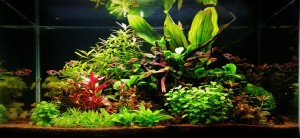 139. III. helyezett 	Dobos Zoltán