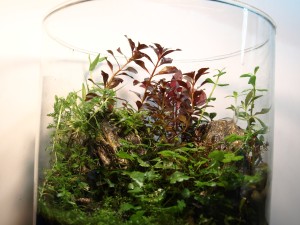 122. III. helyezett  	Dan Markovics