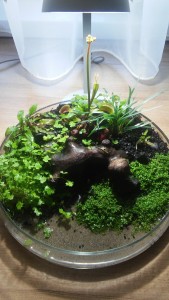 200. I. helyezett  Géringer Tamás