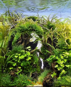 008. Belize    20 liter