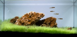 074.   "Düne"      Méretei: 25cm x 19cm x 18cm