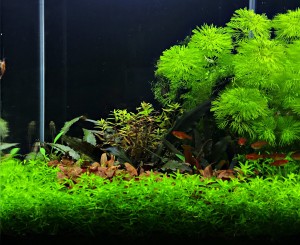 083. 18 liter ( 25x25x30)