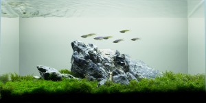 094. Mossy Mountains