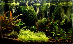 0112.   Mérete: 39x26x17 cm