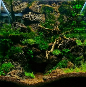 0101. Nagy Antal III. helyezett