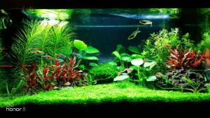 046 . Méret: Bruttó 54liter