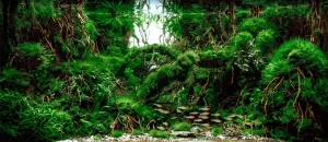 092  Molnár Béla II helyezett