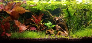 033 .   Méret: 54liter