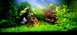 087. 60x30x30 ,  54 liter