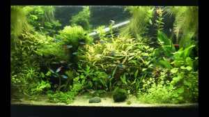 097.  gyári diversa 112literes