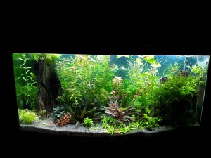 0103. Bruttó 288 liter