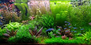 0108. 126L  Low tech méret: 80 x 35 x 45 cm, 6 mm