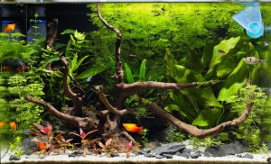 007 . 72 liter opti white (56x36x36)