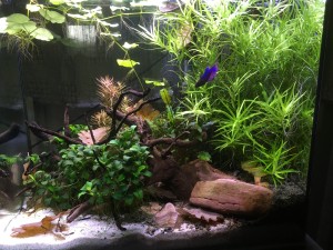 034. Bruttó 35 liter.