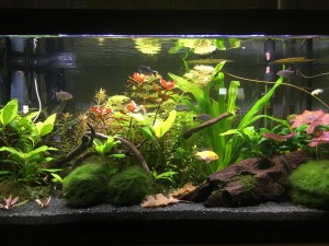 035. Bruttó 112 liter