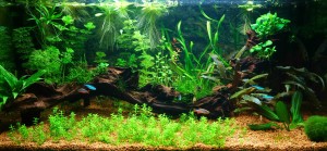 0113. Mérete: 60x30x30 cm