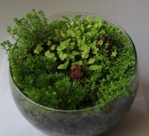 025. üveg olyan 3 literes