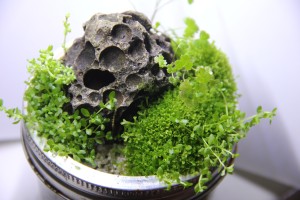 026. 2dl-es üveg joghurtospohár