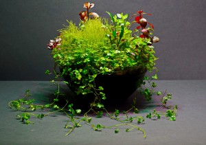 0106.Tál: 14cm átmérő, 5cm magas üveg tál.