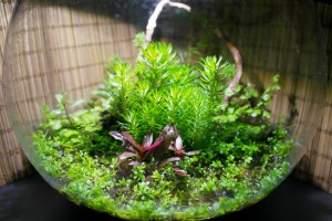 042. 42	Ilosvai Árpád III. helyezett