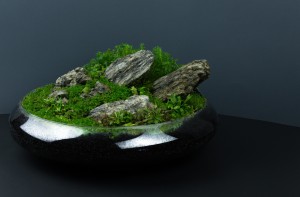 075.   Pupu (Gyökér Máté)  II helyezett