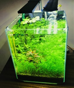 23  - 20 literes nano