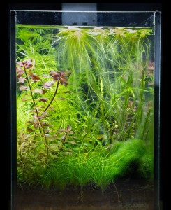 159 -- 15*15*21[cm], ~ 4.725 liter.