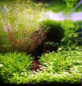 117  --  A barlang szája.