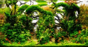 49  -  The mystic getaway