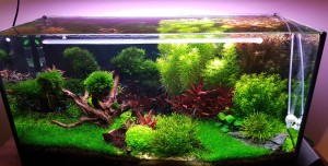 145  -- 100 x 40 x 50 