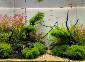 158  --  60x30x45 opti white