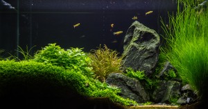 151  --  The first class