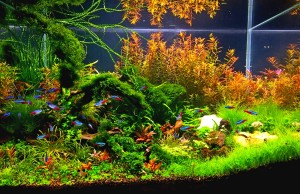 163  --  vidéki fény 