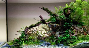 116  -- Fa kövekkel 