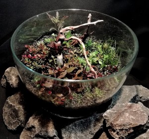 106 -- kövek között 