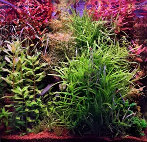 029 . "Lowtech cube"