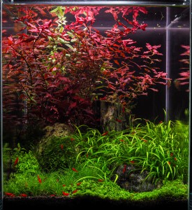 0118.  30x30x35 cm / 32 liter