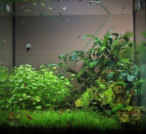 070 . 25x25x25cm (15l) 