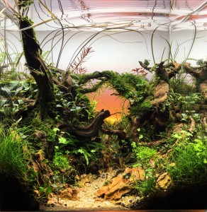 II Helyezett : Poscher Bálint . "Bakacsinerdő"