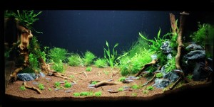 036 . 112L (80x35x40)