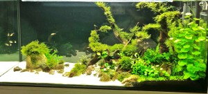 0133 . 120x50x50, 300l