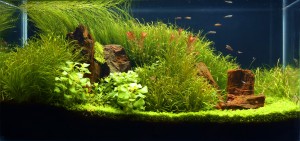 0154 . 80x40x40 (128l)