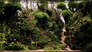 Láng Viktor" Mother "