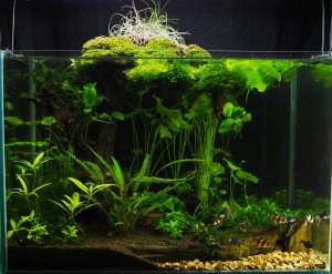 Czimmer Tamás. 60x35x35 cm / 96 liter